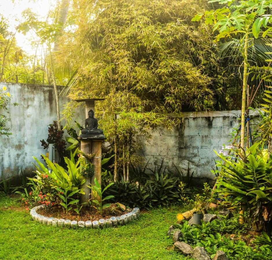 Bed and breakfast The Breeze Mirissa Extérieur photo