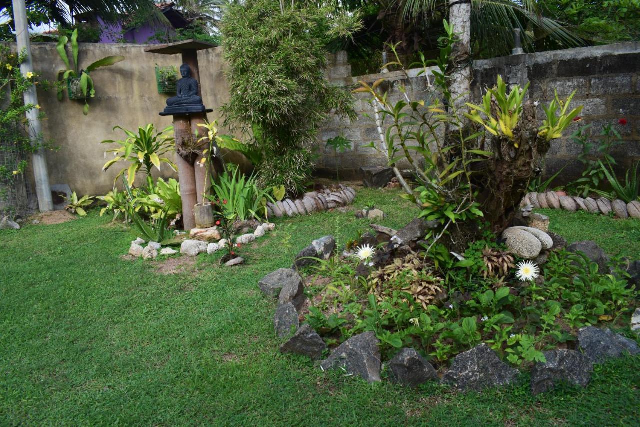 Bed and breakfast The Breeze Mirissa Extérieur photo